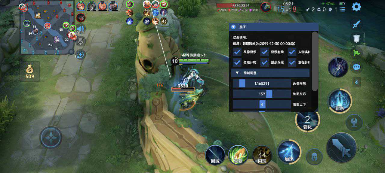 王者荣耀辅助《星火》