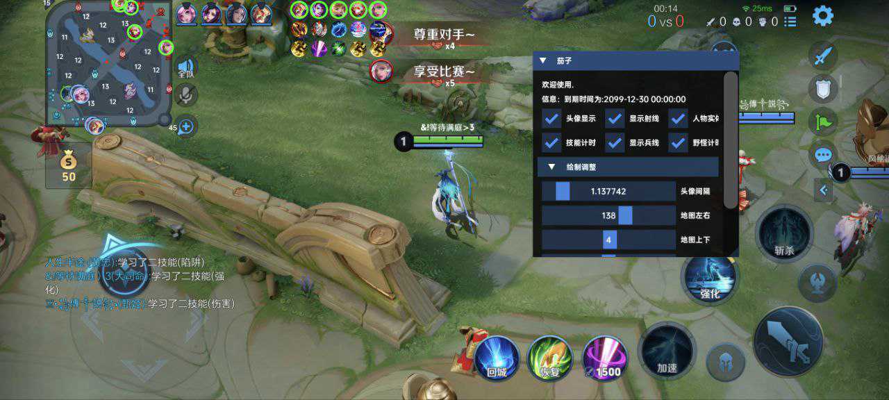 王者荣耀【迈凯轮】辅助