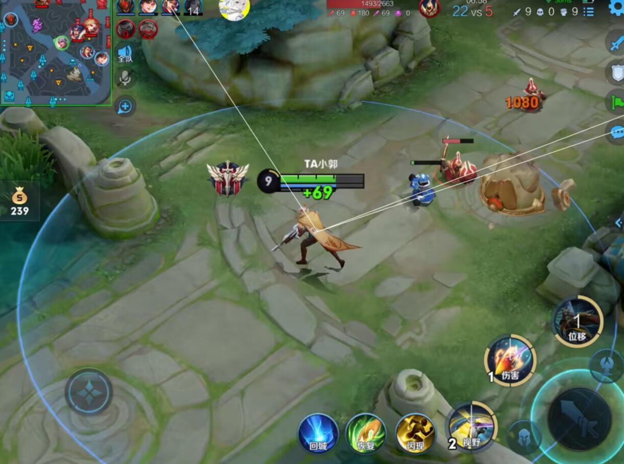 王者荣耀《樱花》外挂